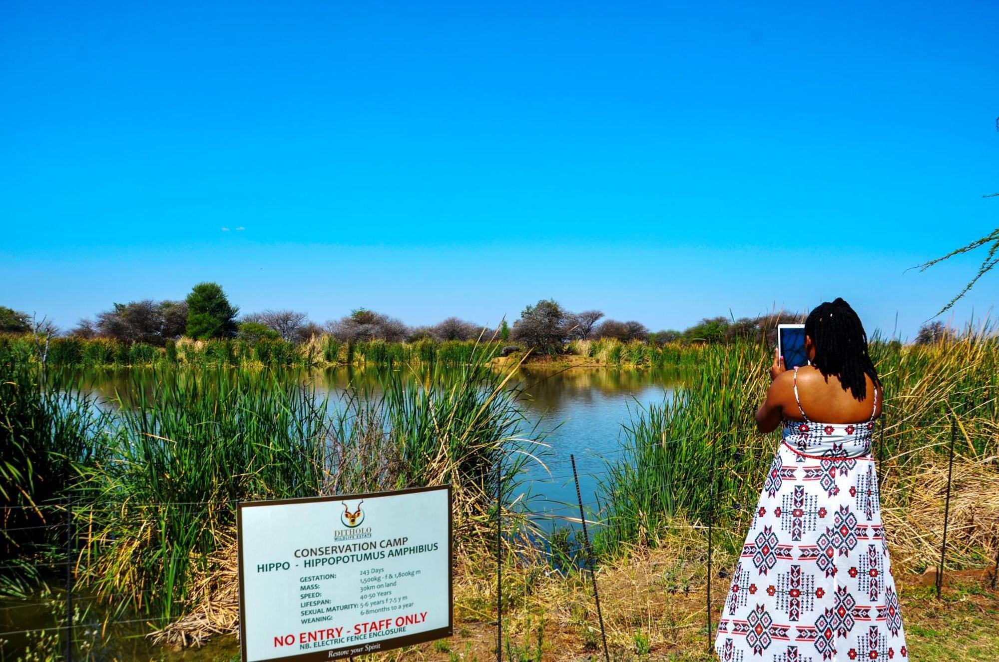 Ditholo Game Lodge Bela Bela Екстериор снимка