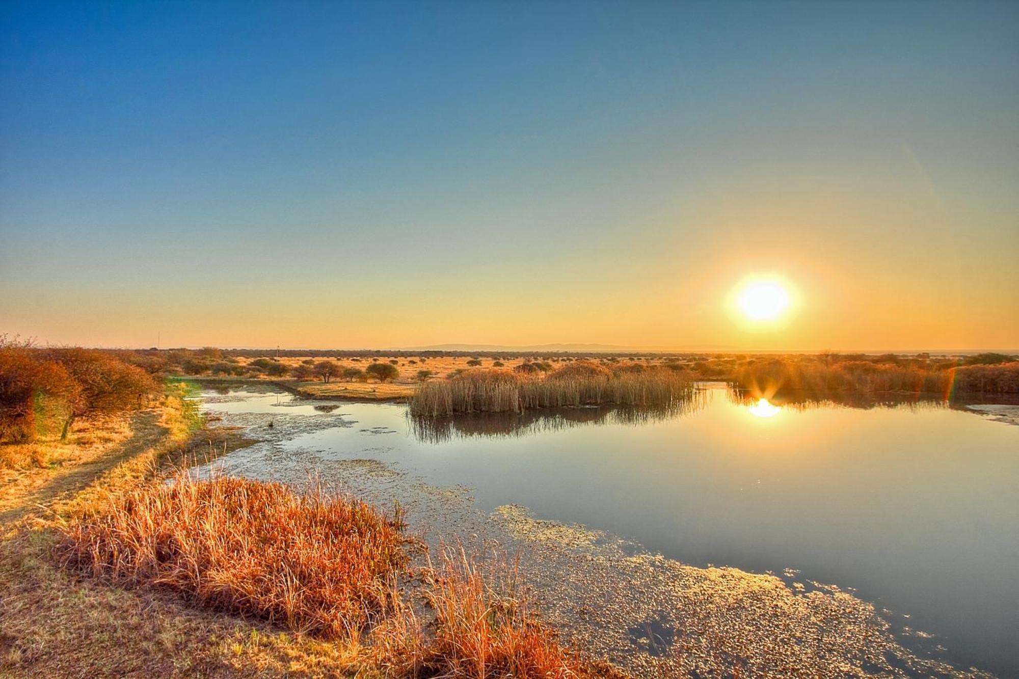 Ditholo Game Lodge Bela Bela Екстериор снимка
