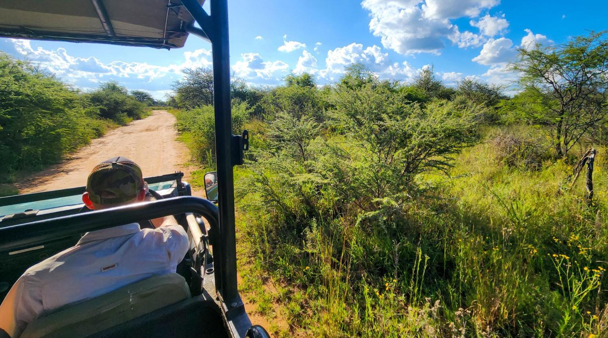 Ditholo Game Lodge Bela Bela Екстериор снимка