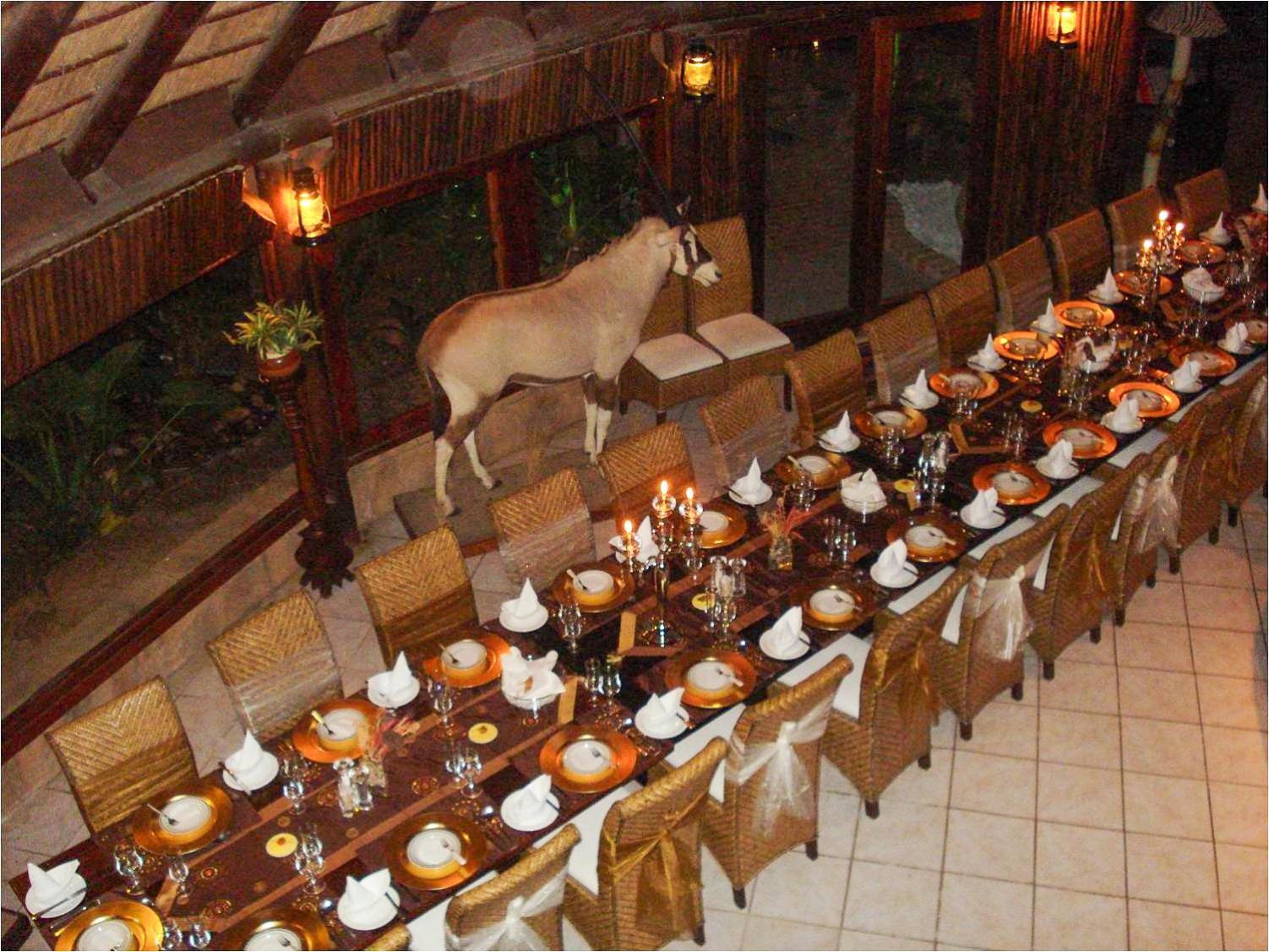 Ditholo Game Lodge Bela Bela Екстериор снимка