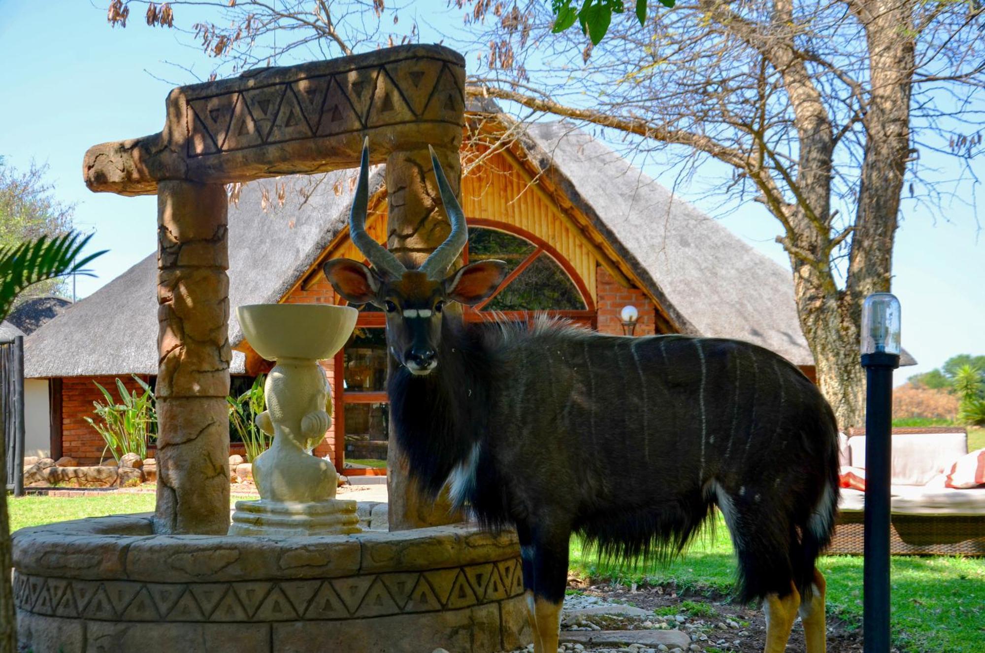 Ditholo Game Lodge Bela Bela Екстериор снимка